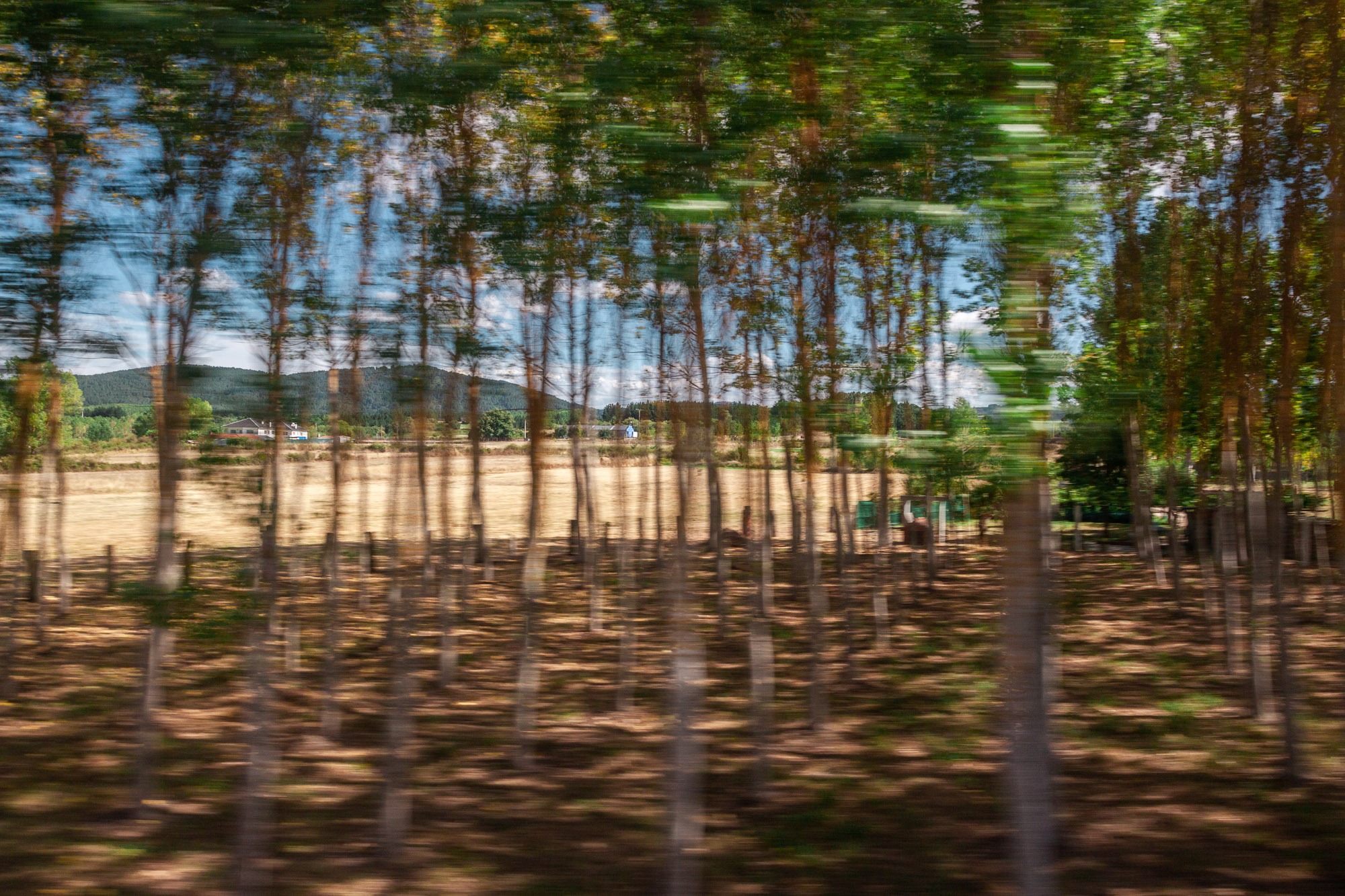 HM_train_05